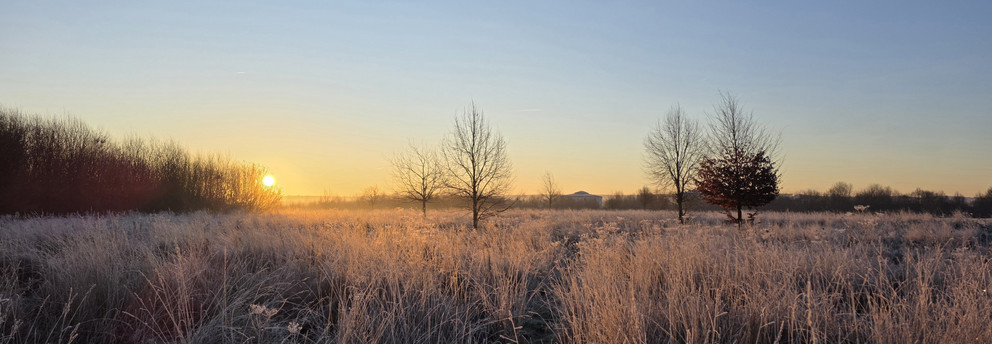 Winter in Dortmund
